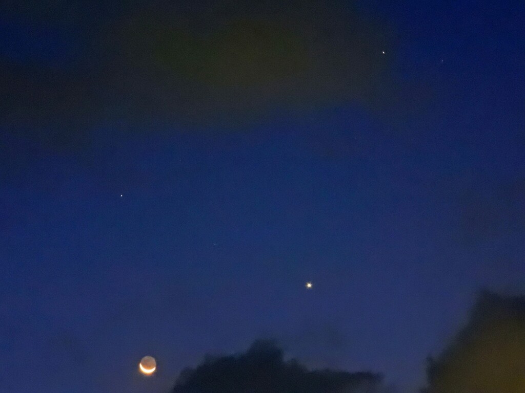 今朝の三日月