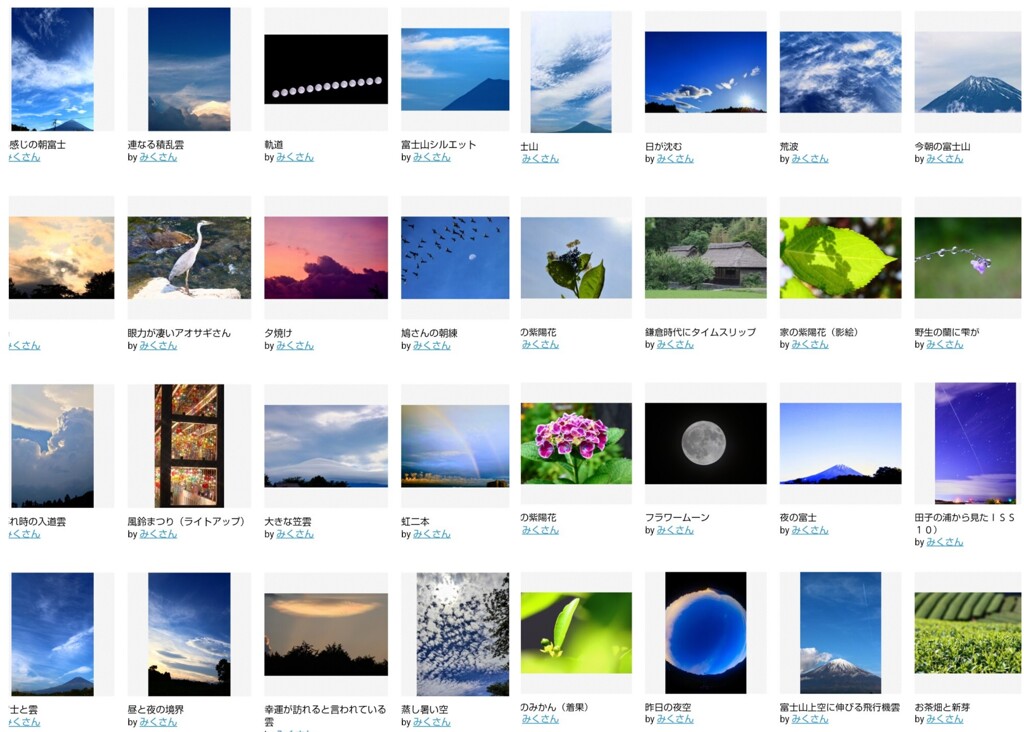 今年トレンドをいただいた写真①