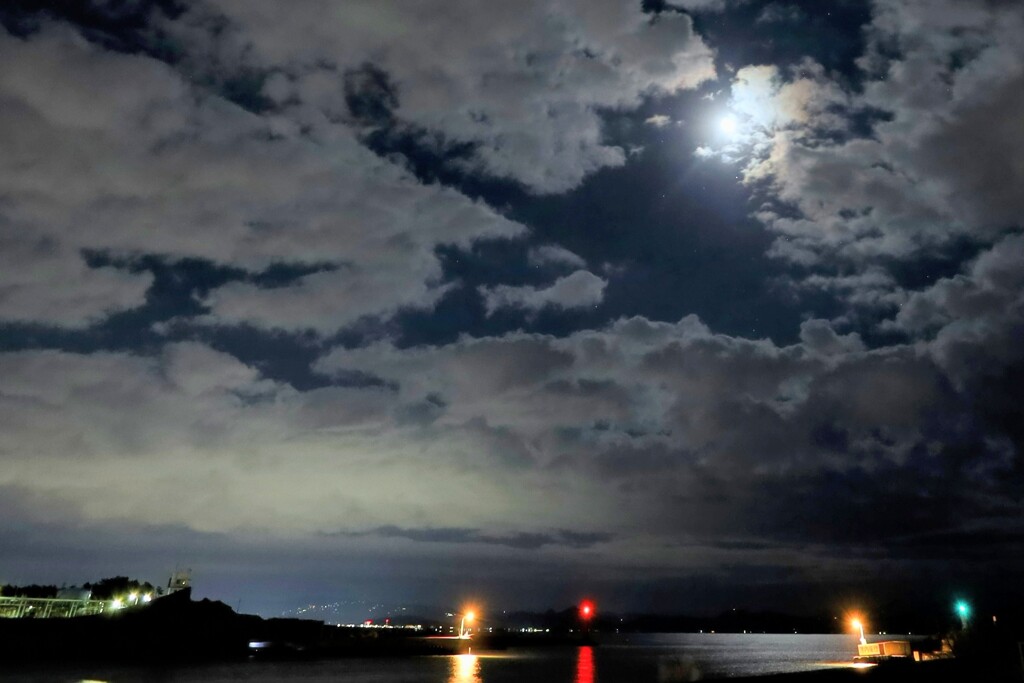 月夜の田子の浦
