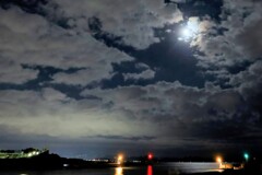 月夜の田子の浦