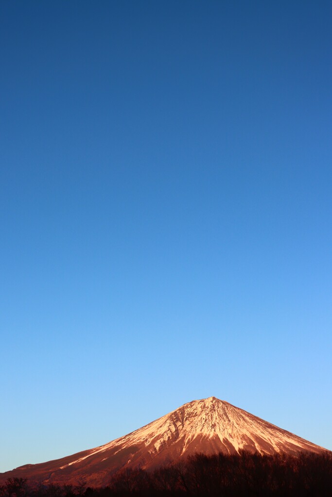 金富士と青空