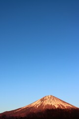 金富士と青空