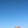 金富士と青空