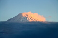 雲上の富士