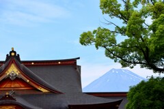 富知六所浅間神社から望む富士山