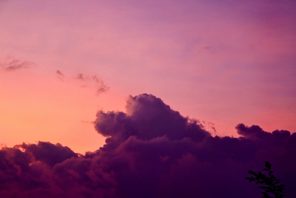 夕焼け
