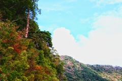 本栖湖の紅葉 本栖湖の紅葉