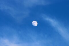夕暮れ前のお月様