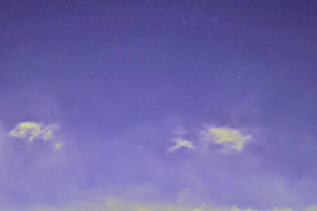 紫金山・アトラス彗星