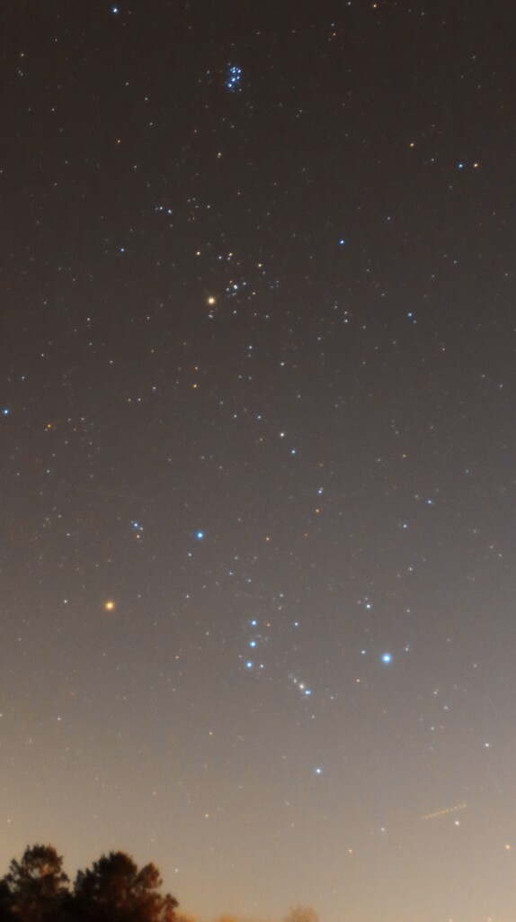 冬の夜空