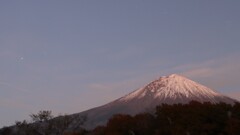 絵のような