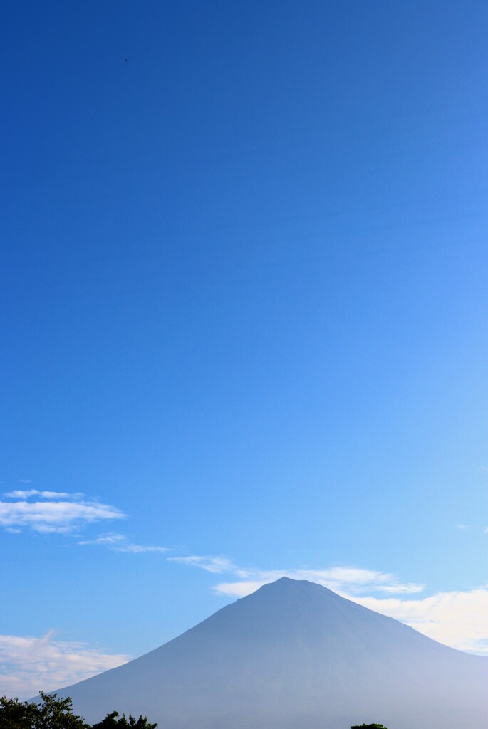 朝富士