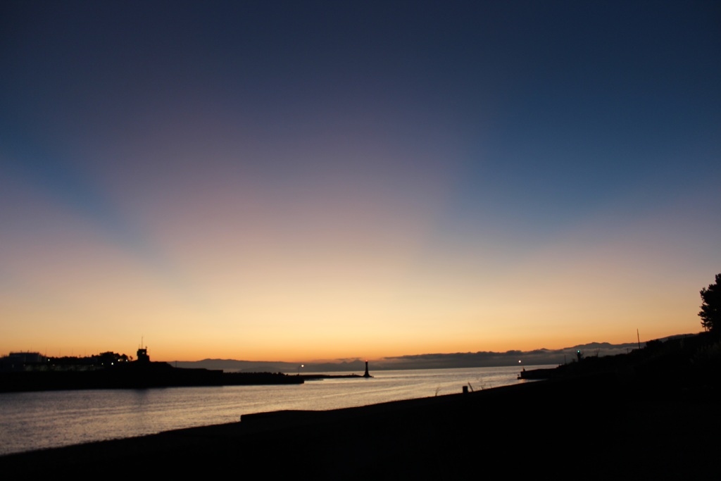 お出ましですよ