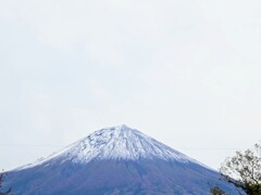 2025年初冠雪日　朝の富士山（富士宮）