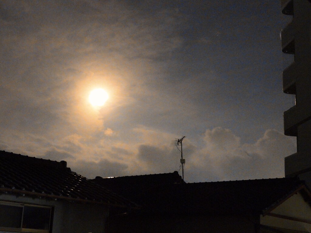 低空で輝く満月