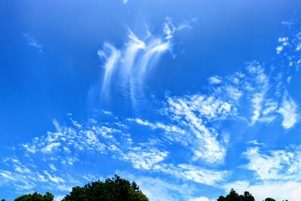 ある日の好きな空と雲