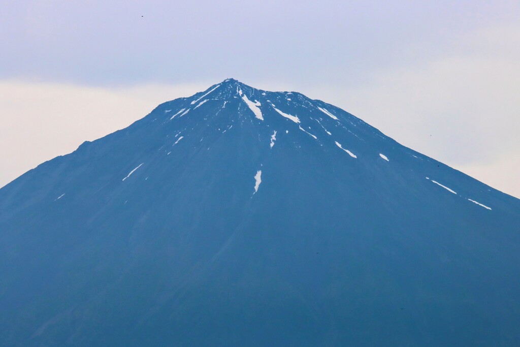 朝の富士山
