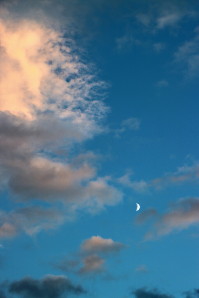 夕焼け雲と月