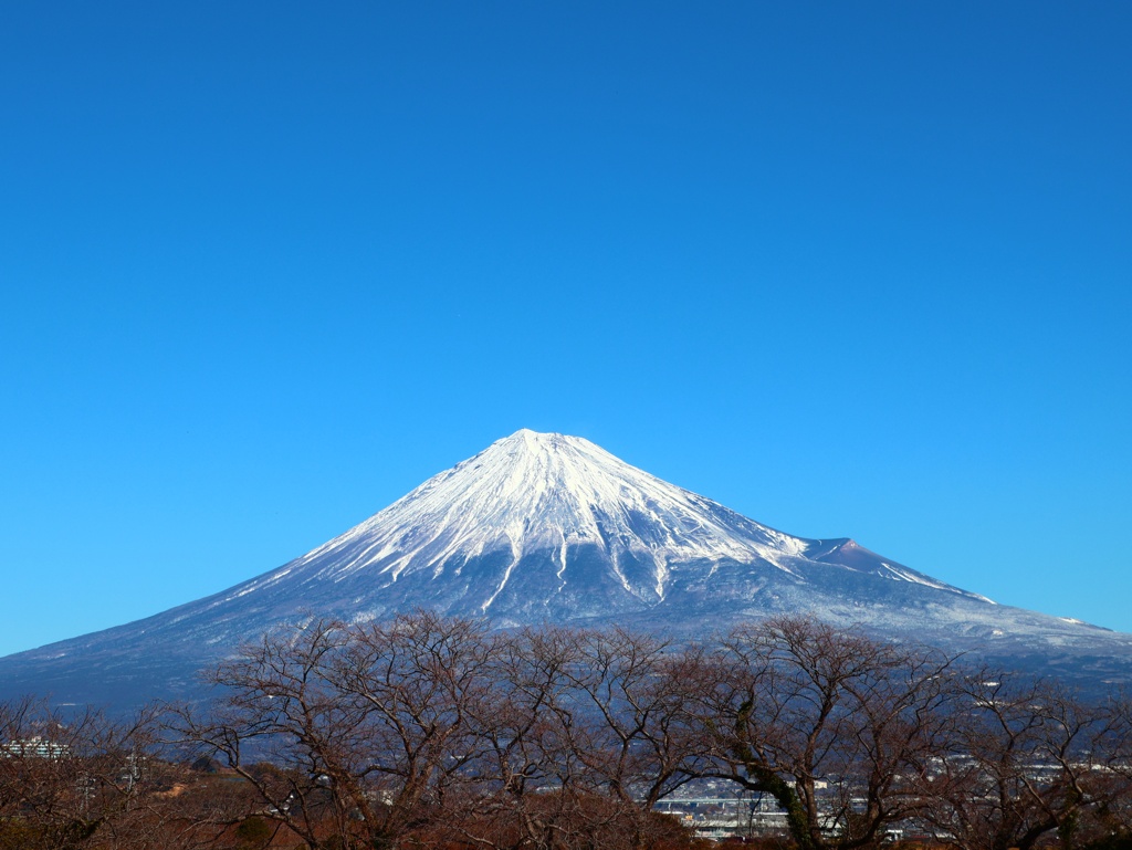 おひるの富士山