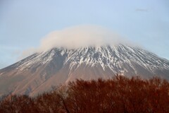 今日のカラーイメージはブラウン