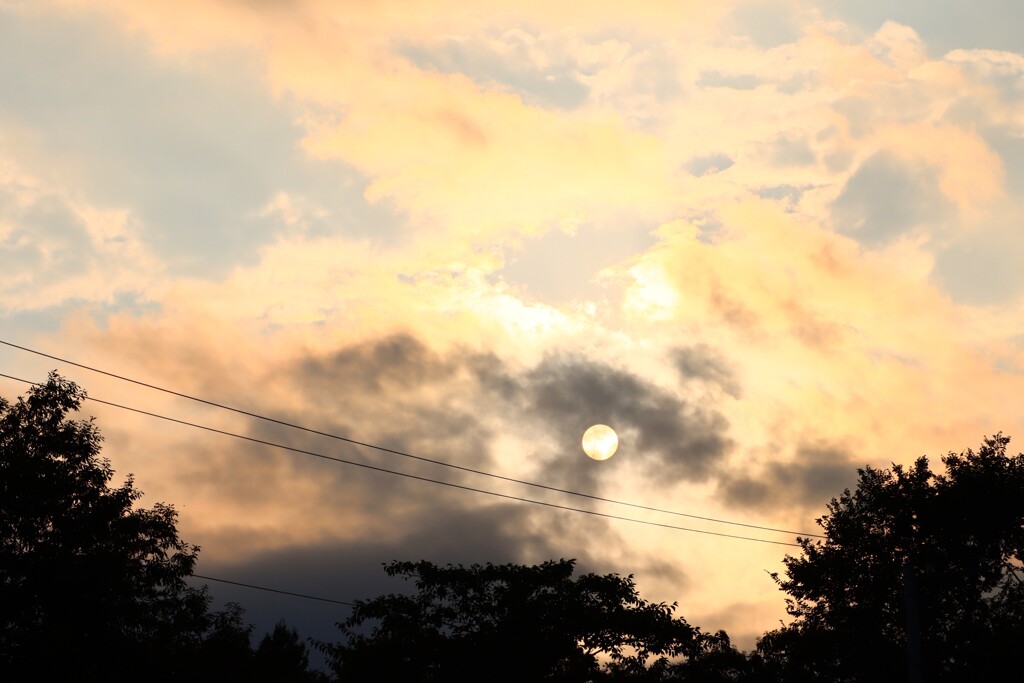 夕陽