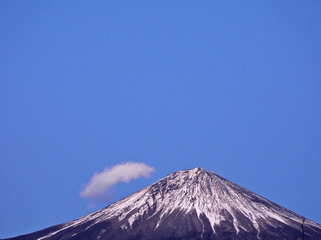 今から笠をかぶります。