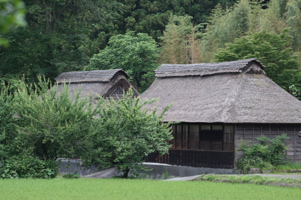 鎌倉時代にタイムスリップ