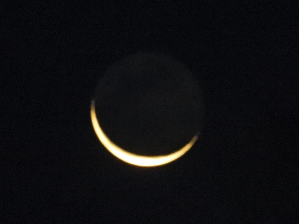 今朝の三日月
