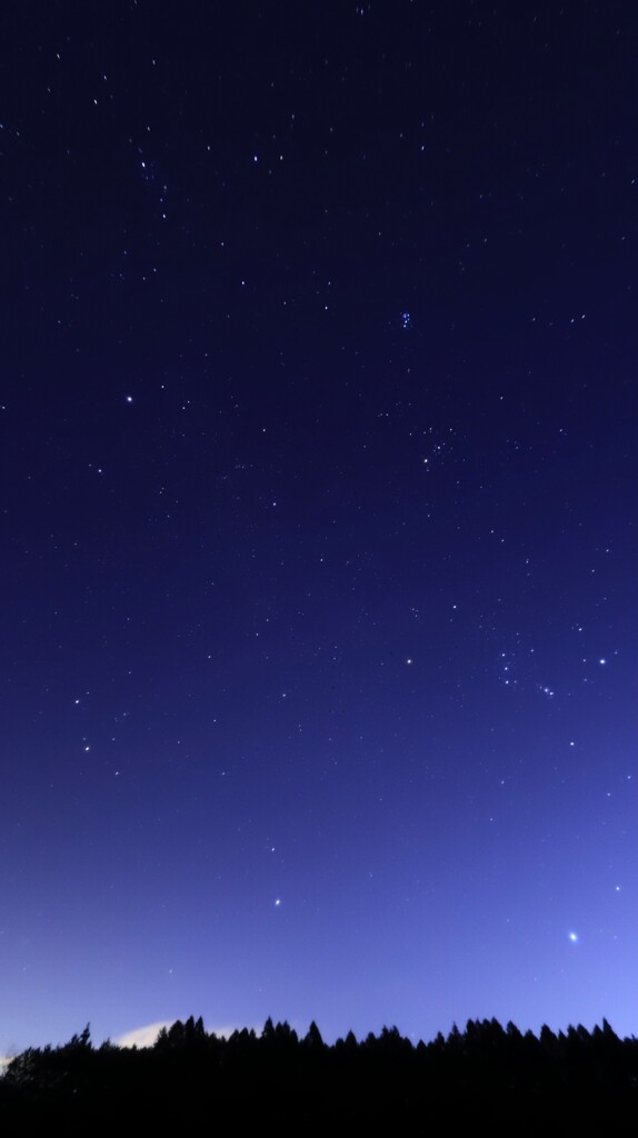 豪華な夜空