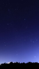 豪華な夜空