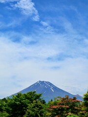 富士市森林墓園からの富士山