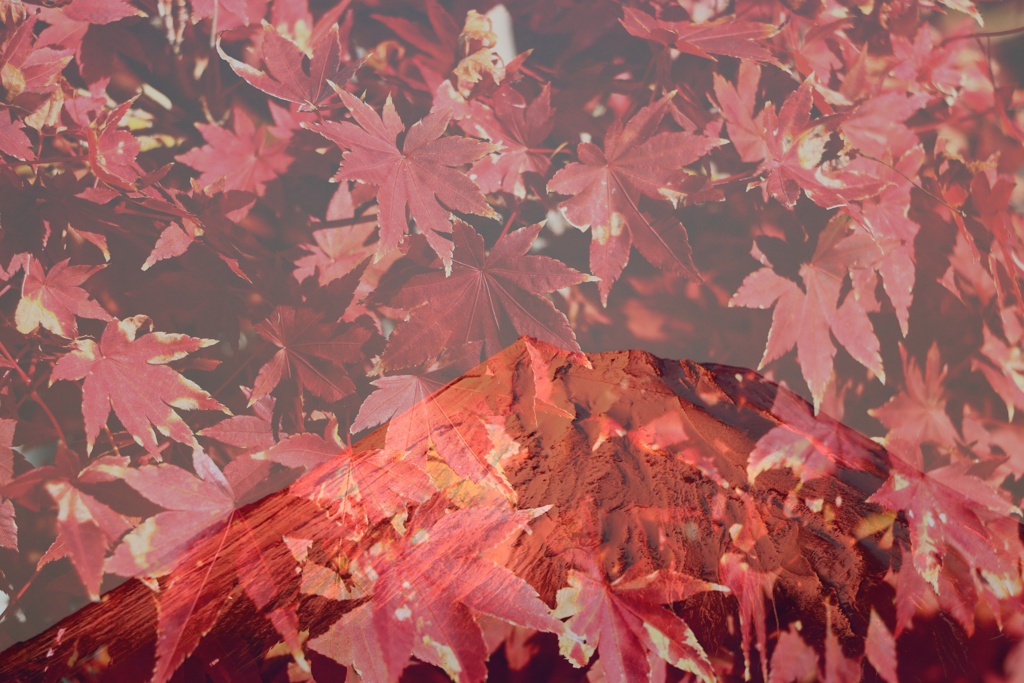 紅富士と家の紅葉