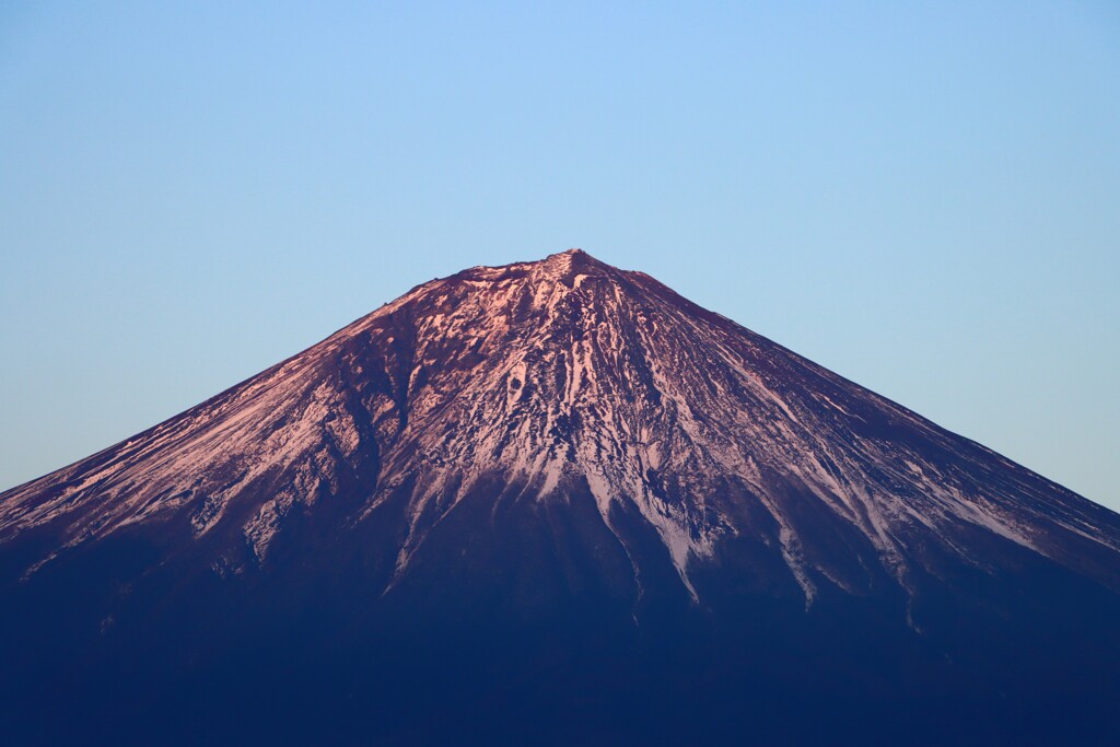 渋い赤
