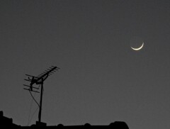 細い月