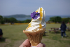 花束ソフトクリーム