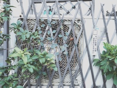 室外機