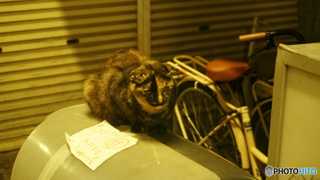 夜の商店街③