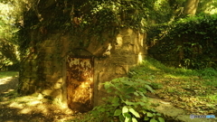 Forest Fort②
