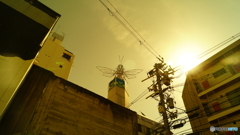 Bee①