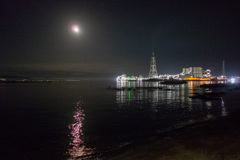 たぶん久里浜