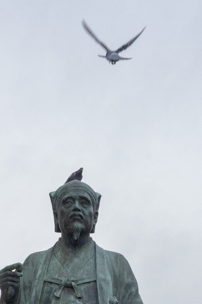 鳩と銅像