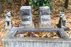 神社の裏