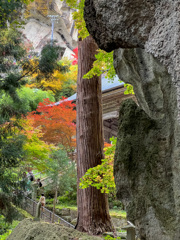 山寺