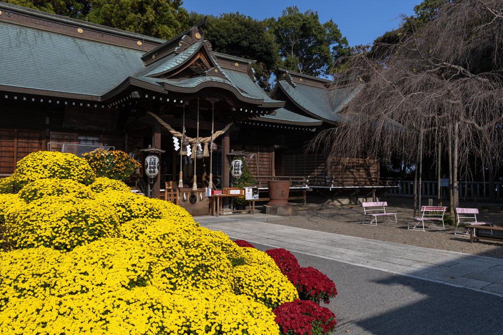 七五三の季節の神社