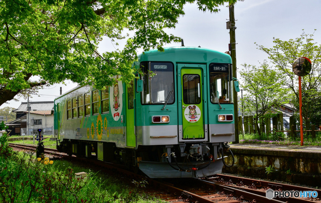 新緑の中の北条鉄道