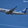 ANA ボーイング737とコントレイル