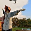 案山子と稲穂と飛行機と