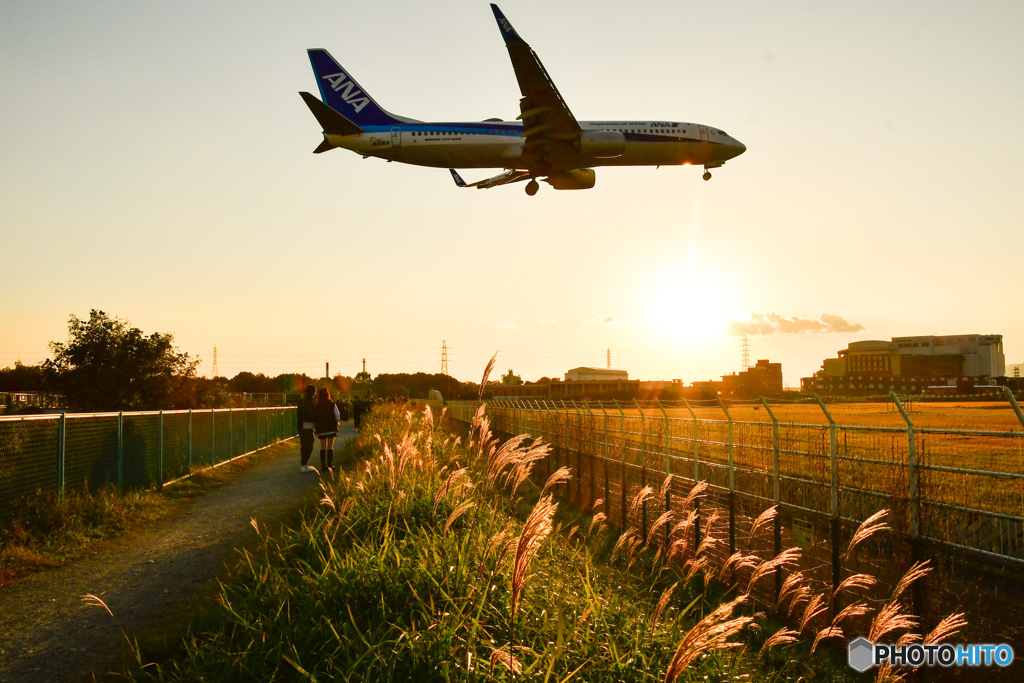 風になびくススキと飛行機と若い2人