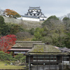 玄宮園から見る彦根城