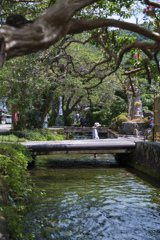 醒ヶ井 地蔵川～水遊び～